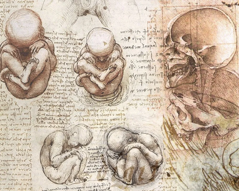 Настрой на креатив