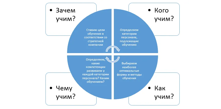 Построение системы обучения в компании Фото 2